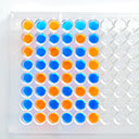 Antibodies for  Immunoassays and ELISA