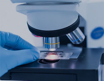 IHC/Pathology Antibodies