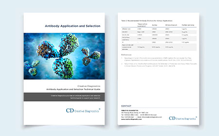 Antibody Application and Selection