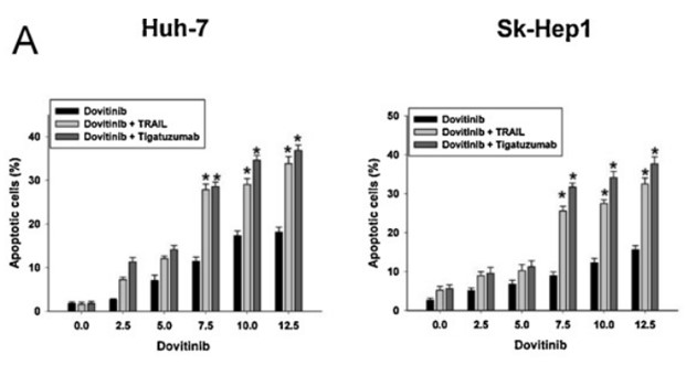 Human Anti-Human TNFRSF10B (tigatuzumab biosimilar) Monoclonal antibody, clone tigatuzumab (CABT-CS378)