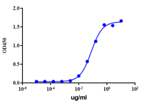 Human Anti-Human CD47 (magrolimab biosimilar) Monoclonal antibody, clone magrolimab (CABT-CS389)