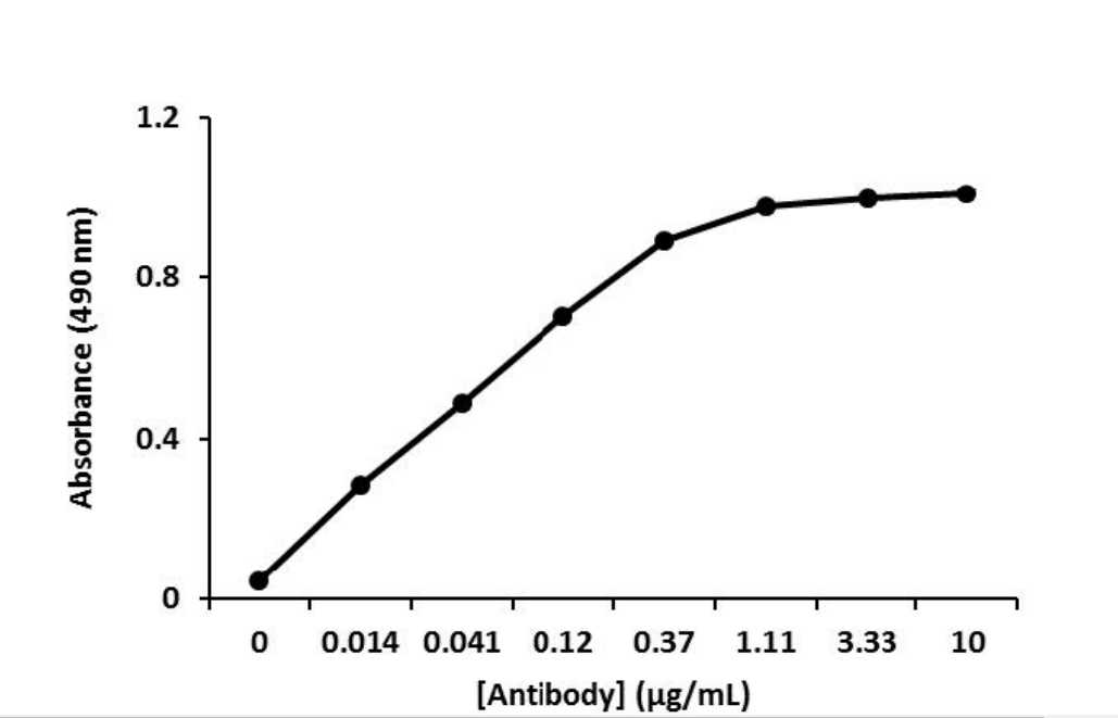 Mouse Anti-Human Fibrinogen monoclonal antibody, clone 146 (CABT-L0537Y)