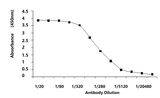 Mouse Anti-Human c-myc Monoclonal antibody, clone 9E10 (CABT-L4289)