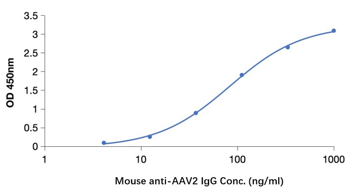 Mouse Anti-AAV2 (intact particle) Monoclonal antibody, clone B31 (CABT-LY428)