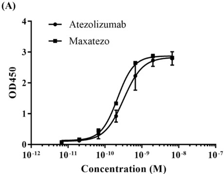 Human Anti-Human PD-L1 (Atezolizumab) Monoclonal Antibody, clone Atezolizumab [Biosimilar] (CABT-Z660H)