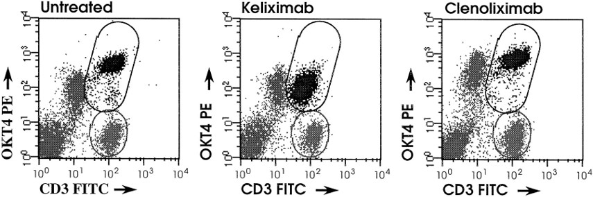 Human Anti-Human CD4 (Clenoliximab) Monoclonal Antibody, clone CE9.1 [Biosimilar] (CABT-Z666H)