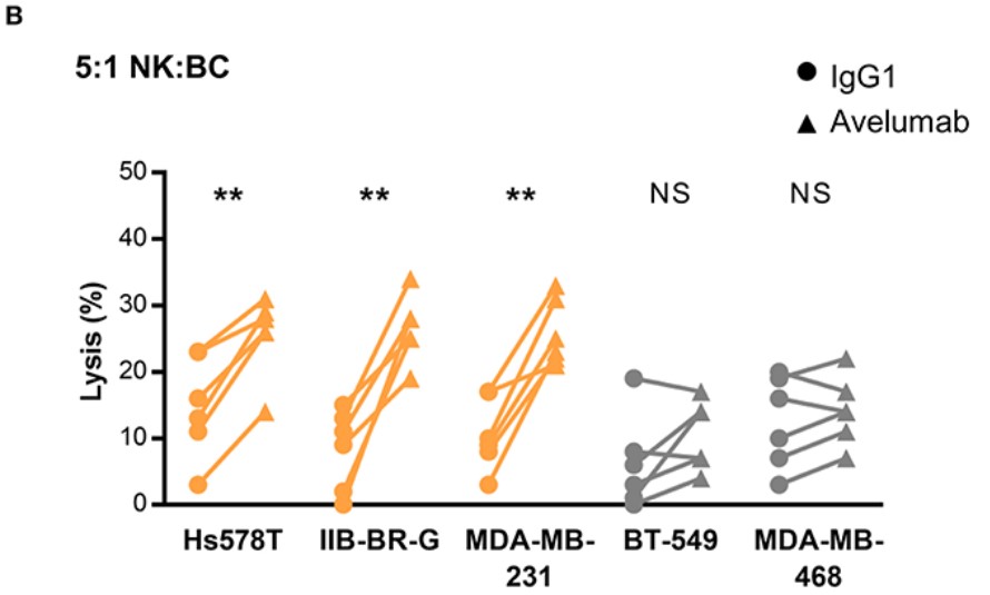 Human Anti-Human PD-L1 (Avelumab) Monoclonal Antibody, clone Avelumab [Biosimilar] (CABT-Z703H)