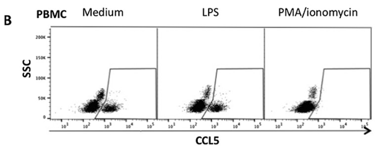 Mouse Anti-Horse CCL5 monoclonal antibody, clone 172 (CABT-ZB094)