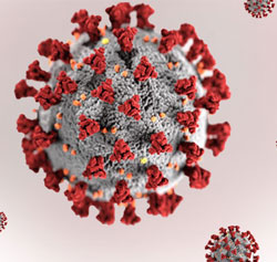 Coronavirus