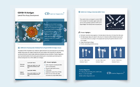 COVID-19 Antigen Lateral Flow Assay Development