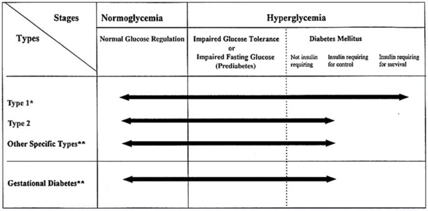 Diabetes mellitus Related Antibodies