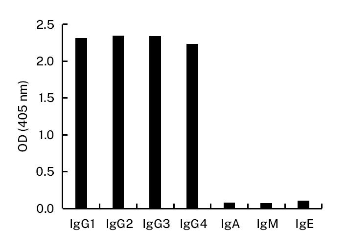 Anti-Human IgG monoclonal antibody, clone 3D22 (DMAB14016)