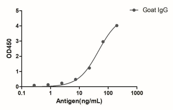 HiResNb™ Anti-Goat IgG(Fcγ Fragment specific) VHH antibody, clone 165-212 (DMABB-JP04)