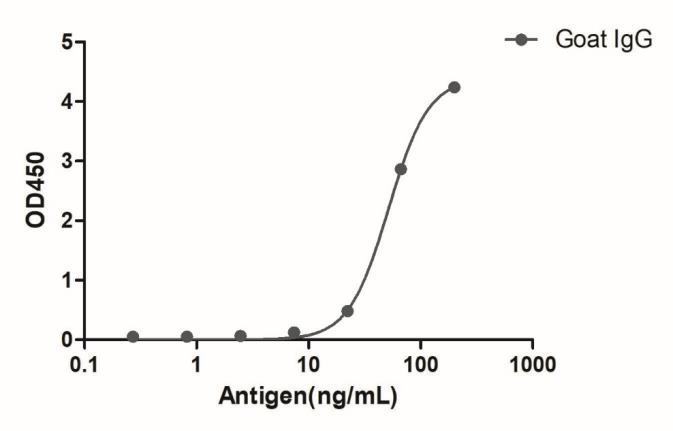 HiResNb™ Anti-Goat IgG(Fcγ Fragment specific) VHH antibody, clone 165-212 [Biotin] (DMABB-JP05)