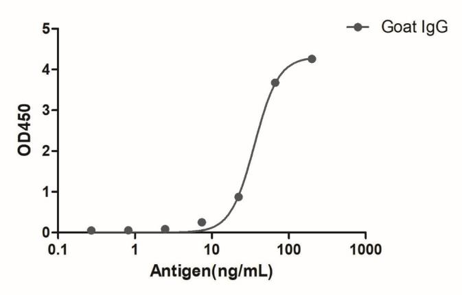 HiResNb™ Anti-Goat IgG(Fcγ Fragment specific) VHH antibody, clone 165-212 [HRP] (DMABB-JP06)