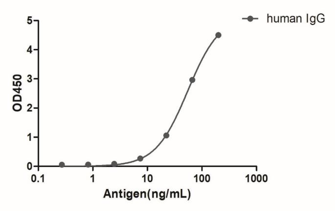 HiResNb™ Anti-Human IgG(Fcγ fragment specific) VHH antibody, clone 134-212 (DMABB-JP10)