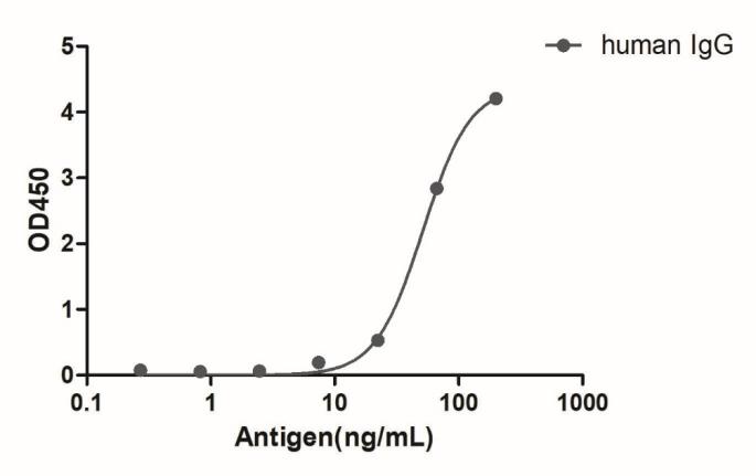 HiResNb™ Anti-Human IgG(Fcγ fragment specific) VHH antibody, clone 134-212 [Biotin] (DMABB-JP12)