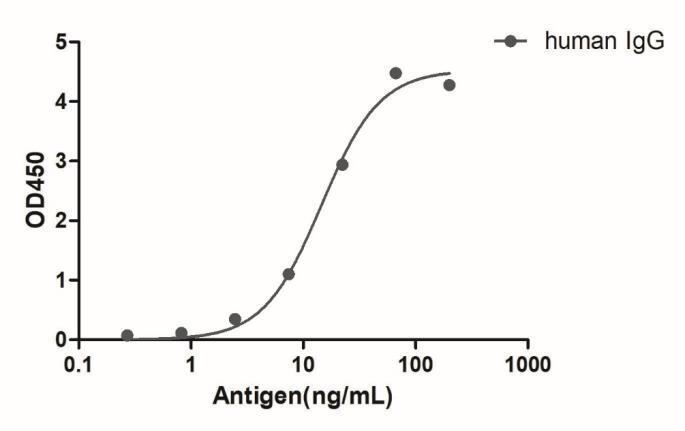 HiResNb™ Anti-Human IgG(Fcγ fragment specific) VHH antibody, clone 134-212 [HRP] (DMABB-JP13)