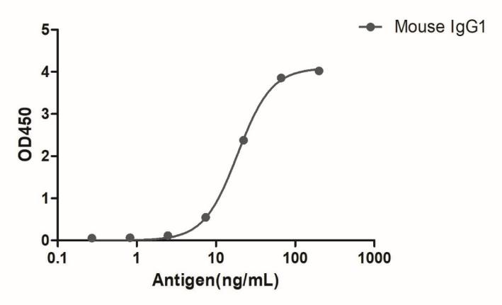 HiResNb™ Anti-Mouse IgG1(Fcγ Fragment specific) VHH antibody, clone 112-219 [Biotin] (DMABB-JP75)