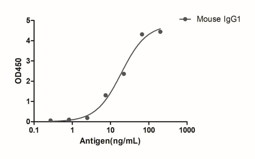 HiResNb™ Anti-Mouse IgG1(Fcγ Fragment specific) VHH antibody, clone 112-219 [HRP] (DMABB-JP76)