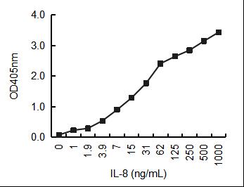 Magic™ Mouse Anti-Human IL-8 monoclonal antibody, clone 31140C (DMABB-JX1106)