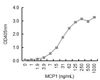 Magic™ Mouse Anti-Human MCP-1 monoclonal antibody, clone 31155C (DMABB-JX1114)