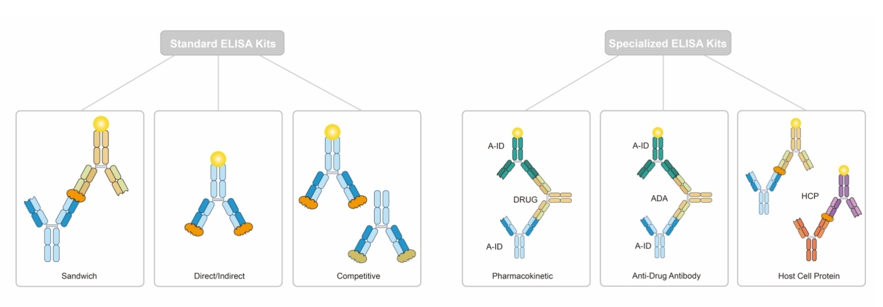 Types of ELISAs