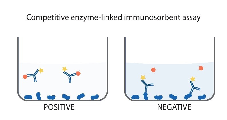 Competitive ELISA Assay