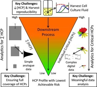 Overview of the HCP landscape in the context of biologics manufacture.