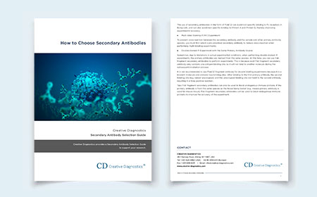 How to Choose Secondary Antibodies