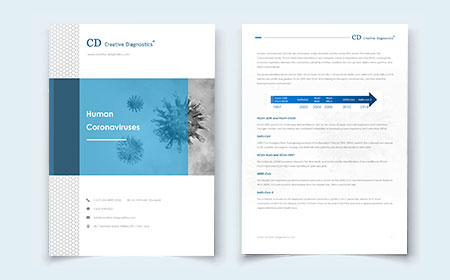 Human Coronaviruses