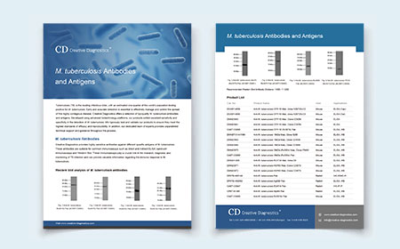 M. tuberculosis  Antibodies and Antigens