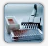 Antibody Isotyping Kits