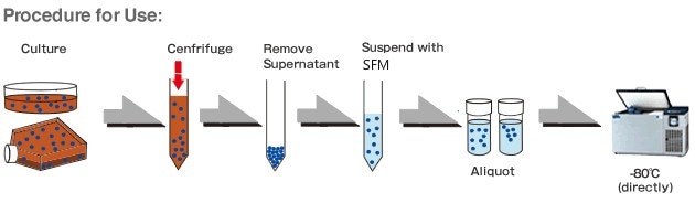 Serum-Free Cell Freezing Medium - Creative Diagnostics