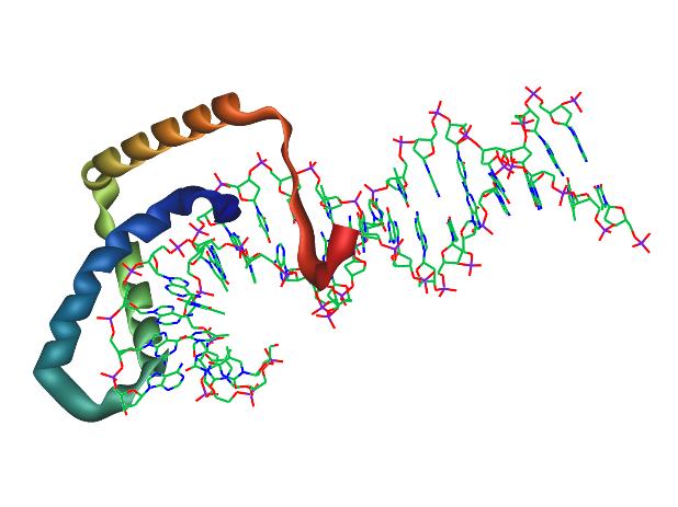 Sox2 Signaling Pathway