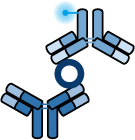 ELISA Matched Antibody Pair