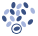 Knockout Cell Lysate