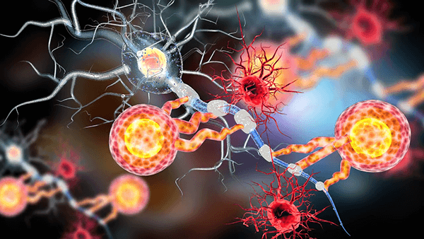 Neuroinflammation Pathway