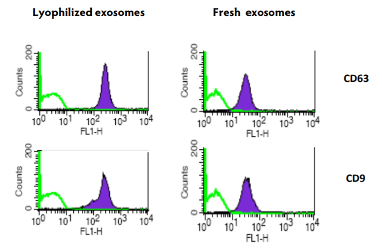 Comparison of exosomal markers on fresh and lyophilized exosomes